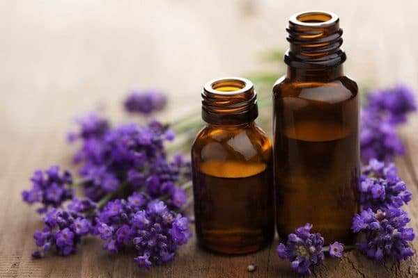 Ulei esential intre flori de lavanda
