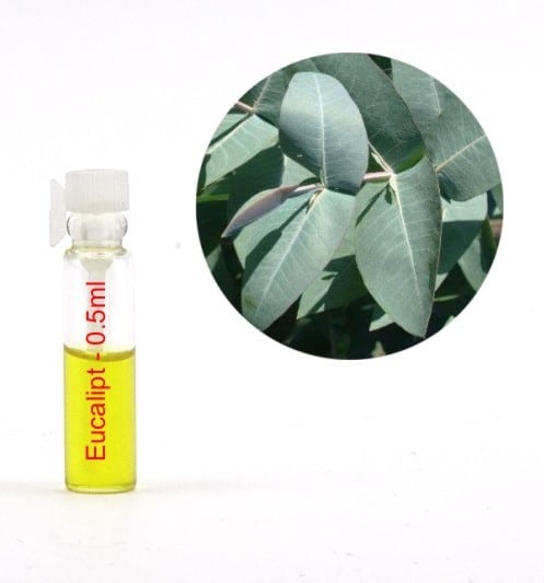 Ulei esenţial eucalipt - tester