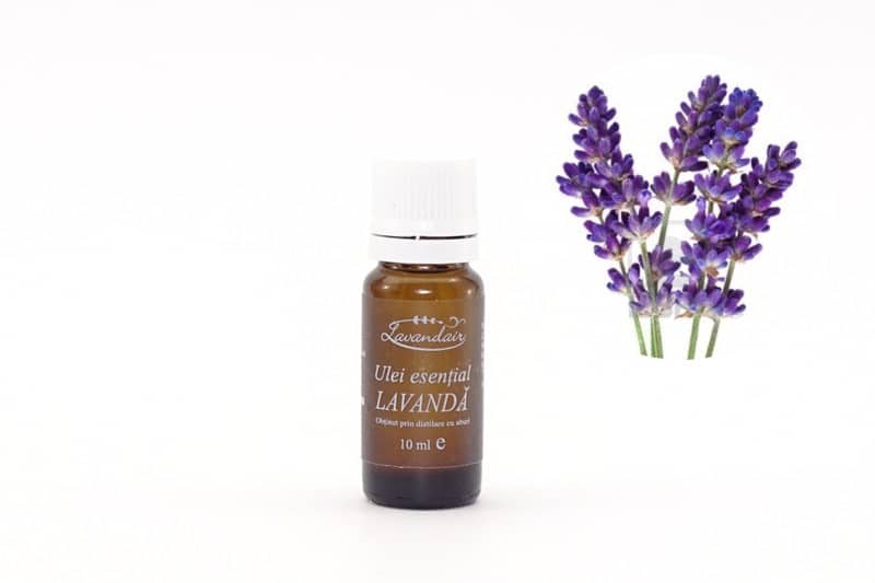 Ulei esential de Lavanda 800x533