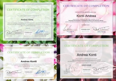 Diplome Andrea 400×276
