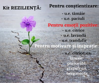 Kit rezilienta uleiuri esențiale pentru reziliență