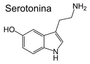 serotonina serotonina