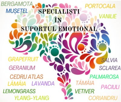 uleiuri esentiale suport emotional efectele uleiurilor esențiale pe plan emoțional