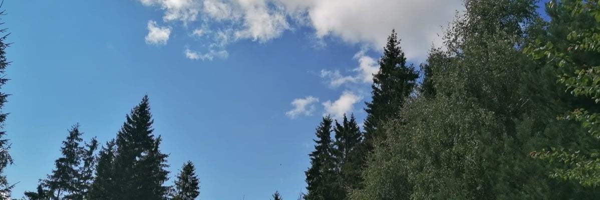 Îtărirea sistemului imunitar