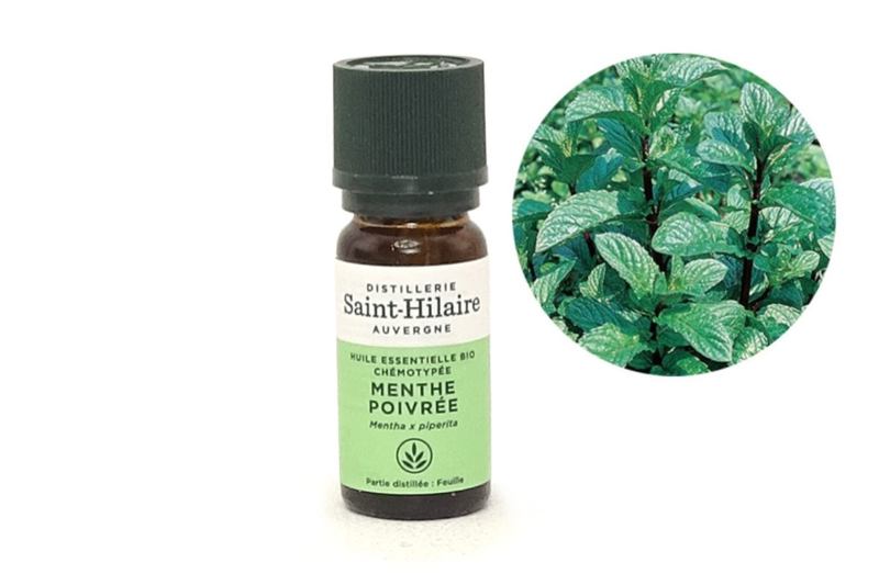 Ulei esential de menta piperata