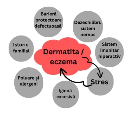 ciclu-dermatita-atopică